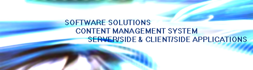 software solutions, server side and client side applications, cms