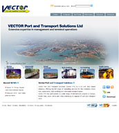 Flash web site